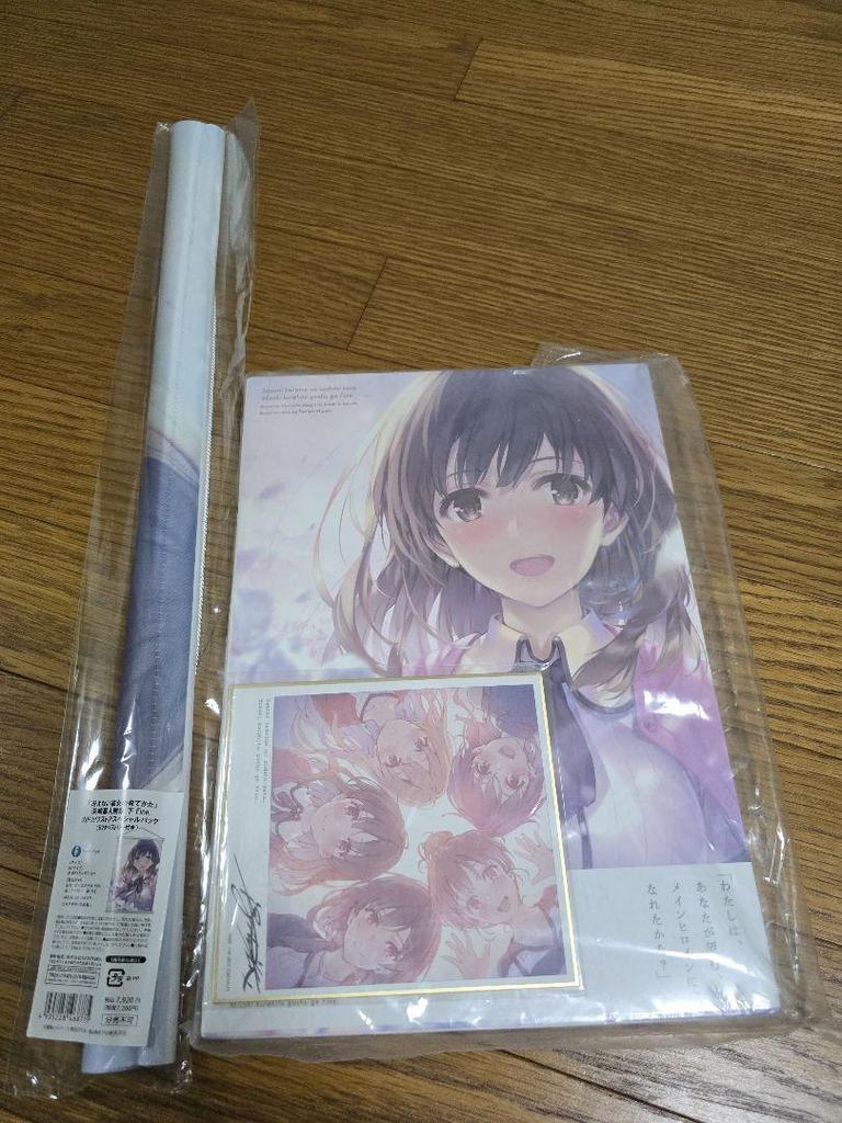 [USED] How To Raise a Boring Girlfriend - Misaki Kurehito Art Collection, Volume 2, Fine. Tapestry, Colored Paper