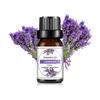 10ml Essential Oil Organic Plant 33 FLAVOR DIY Aromatherapy Plaster Candle Soap Making Aroma Fragrance Oil for Diffuser Sleep