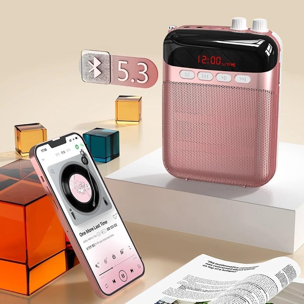 Rechargeable Wireless Microphone Portable Amplifier Loudspeaker  Teaching Environment
