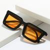 New Style Sun Glasses for Woman Square Shape Anti-reflective Sunglasses for Women Driving Hiking Men's Sunglasses