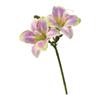 Home Decor Centerpiece Artificial Clivia Bouquet Home Decoration Bendable Wire Inside Flexible Floral Stems For DIY Projects