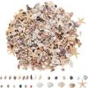 Mixed Spiral Sea Shell Beads 200/400/1000Pcs Natural Assorted Craft Beads for DIY Jewelry Making Fish Tank Decor