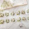 Beautiful Day Sea of Flowers Series: Die-cut PET Plant Journal Decoration Tapes (8 Styles)