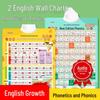 Phonics and Phonetic Symbols Audio Wall Chart for Grades 1-4