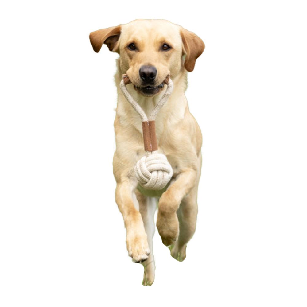 Benji & Flo Seil-Hundespielzeug mit Wildlederbesatz
