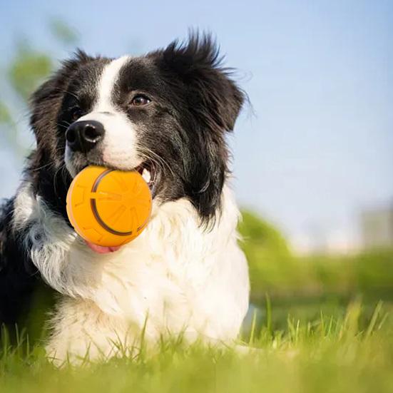 Electric Rolling Ball Dog Toy Smart Automatic Bouncing Ball with LED Light Interactive Touch Activation Moving Ball Toy for Small Medium Dogs