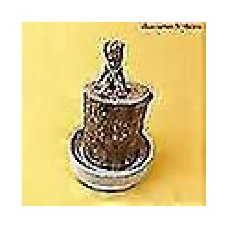 Nowy Groot Roślina Zielona Drewno Brazylijskie Drewno Wodne Podnoszące Drewno Szczęścia Małe Drzewko w Doniczce Ludzie szybko