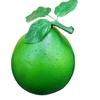 Foams Grapefruit Fruit Photography Props for Kitchen Decorations Basket Display
