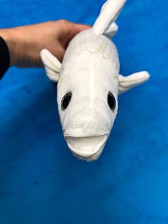 TST Advance Fisherman's Whitebait Plush Toy 9353