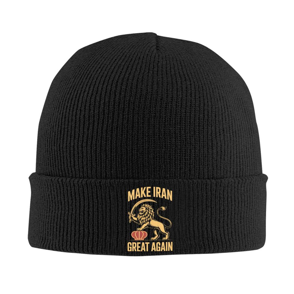 Lion and Sun of Flag Emblem Knitted Caps Women's Men's Beanie Autumn Winter Hats Acrylic  Warm Caps