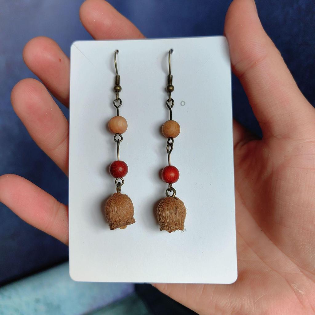 Fruit Earrings - Handmade Natural Dried Fruit Earrings, Retro Chinese Medicine Ethnic Style, for Women.
