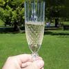 Plastic Champagne Flutes Transparent Wine Glasses Shatterproof Reusable Wine Goblets Elegant Drinkware