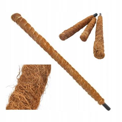 Palik kokosowy Eco podpórka do roślin 60 cm