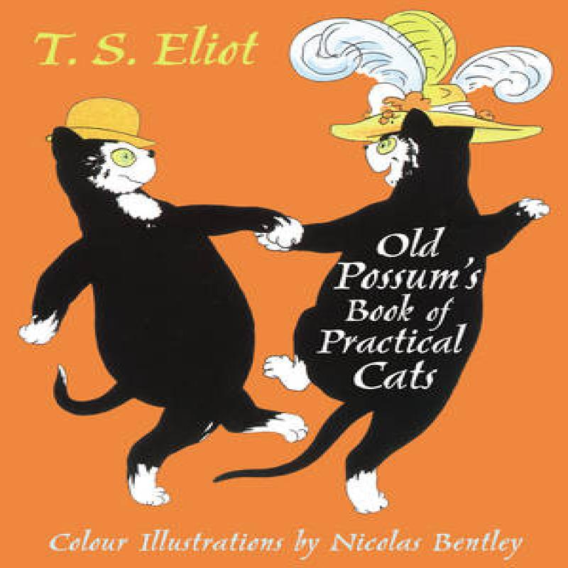 The Illustrated Old Possum by T. S. Eliot Hardback Book 9780571313082