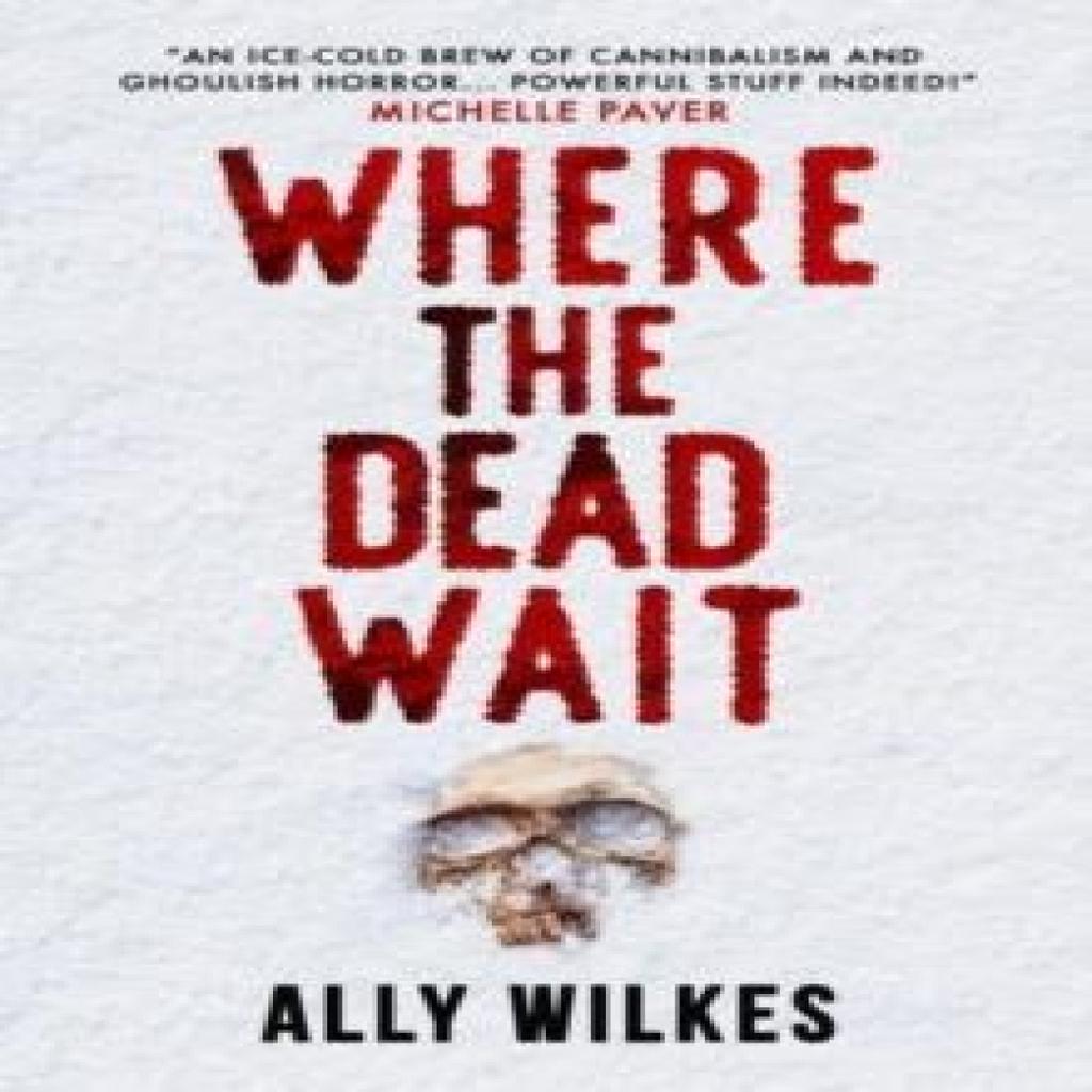 Where the Dead Wait by Ally Wilkes Paperback Book 9781803367545