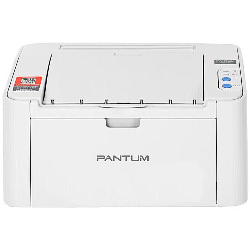 Pantum P2206NW Compact Wireless Monochrome Laser Printer CN plug (adapter included)