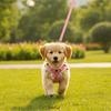 Colorful Ball Pet Harness Leash Adjustable Pet Walking Rope Durable Dog Harness Vest  Daily Use