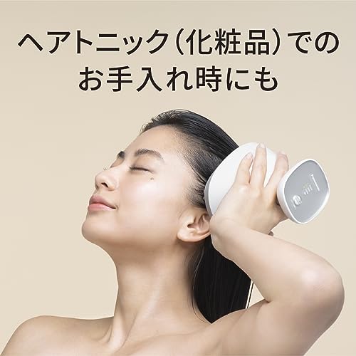 Panasonic Scalp Esthetician with Lift Mode, Close-Massage Brush, Stretch Brush, 3 Speed Settings, Silver Tone EH-HE0J-S