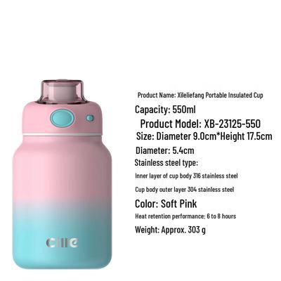 Cille Portable Insulated Straw Water Bottle