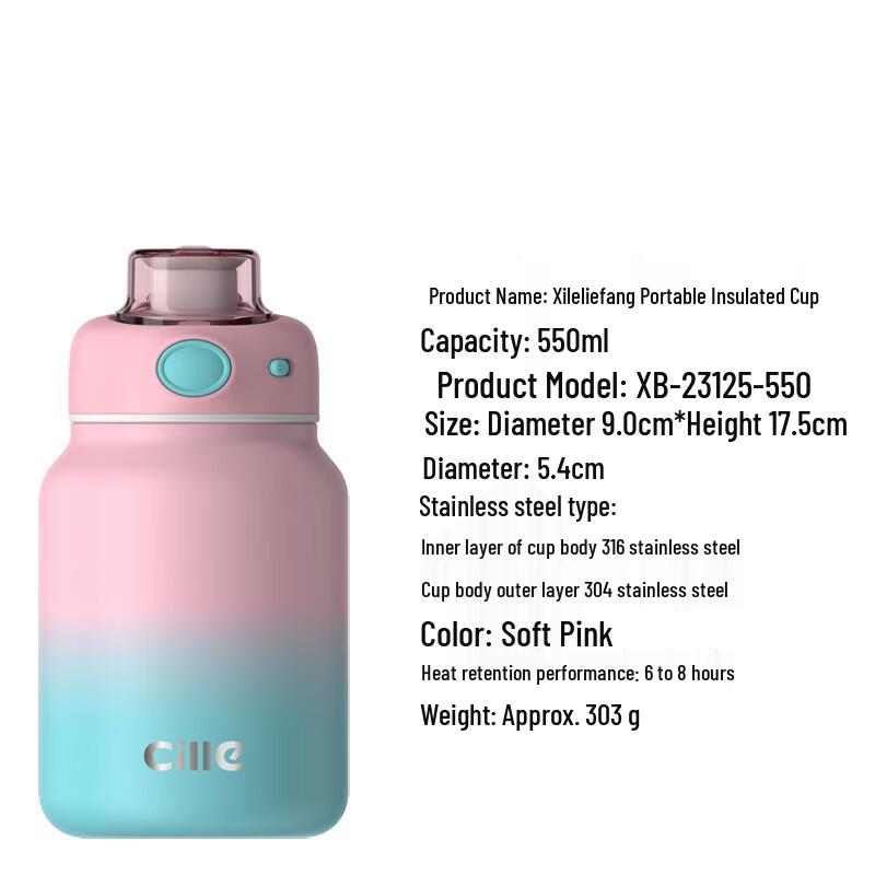 Cille Portable Insulated Straw Water Bottle