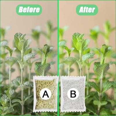 Efficient Plant Fertilizer Seed Germination Nutrient Solution For Potted Plant Transplantation Flower Root Strong Granular