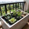 Breathable Aquatic Plant Baskets PVC Mesh Lotus Planter Reusable Pond Planting Bags  Patio Backyard