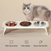 Elevated Dog Feeder Stainless Steel Pet Bowls with Foldable Stand No Spill Raised Pet Feeding Station for Healthy Eating Drinking Posture