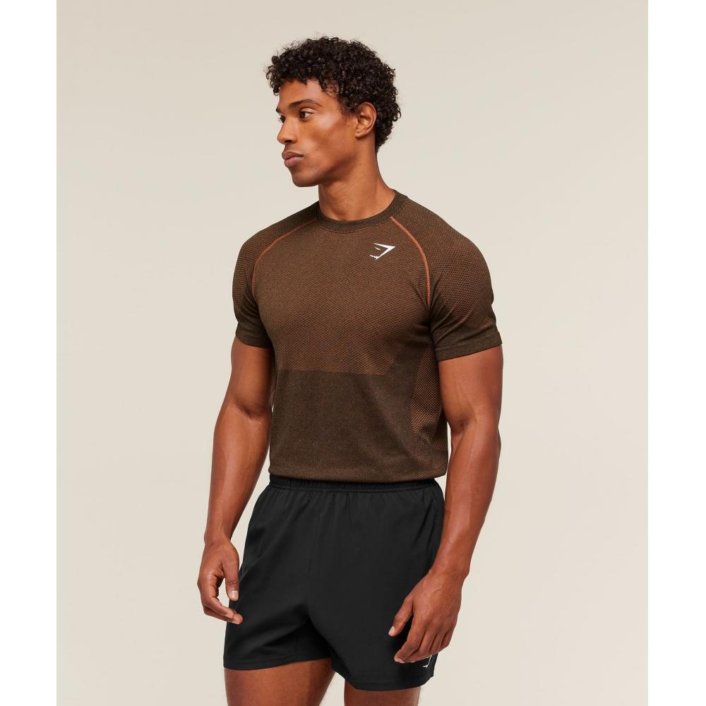 Gymshark ViTal T shirT Black Spiced Brown A2b5p Bdnf