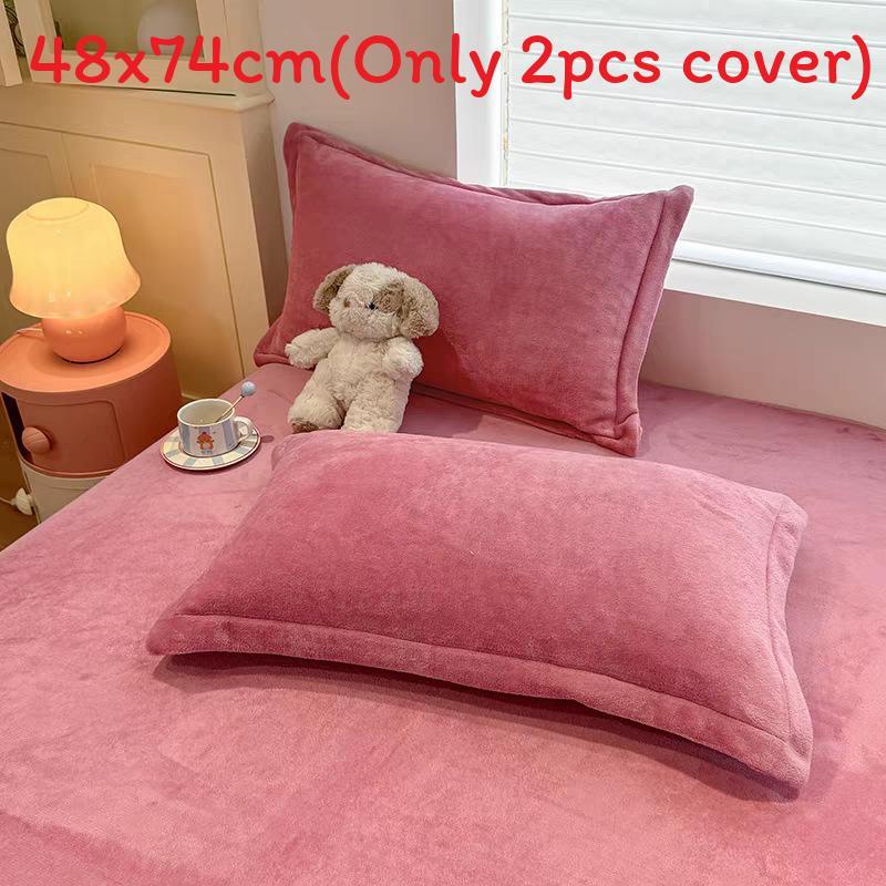 Modern Simplistic Doublesided Milk Velvet Pillowcase With Crystal Fleece For Home Comfort