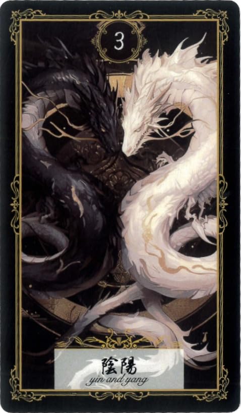 Ryu Zine Premium Cards | Naomi Inaba | 22 Cards with Japanese Commentary and Special Drawstring Pouch [Authentic]