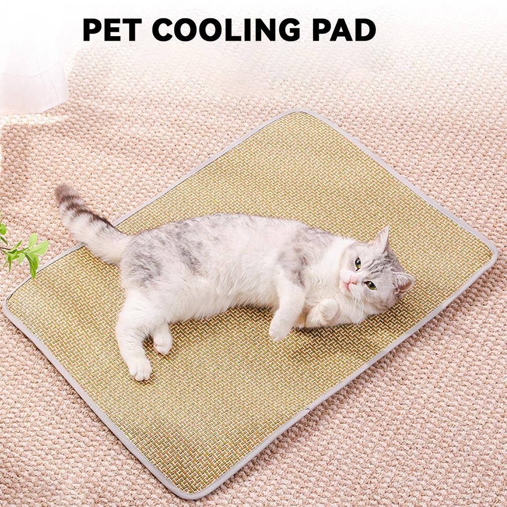 Covor de vară pentru animale de companie, pernă de canapea pentru animale de companie, pernă de podea, covor răcoros pentru câini, pernă răcoroasă pentru pisici de primăvară și vară, pernă din mătase de gheață, covoraș de dormit