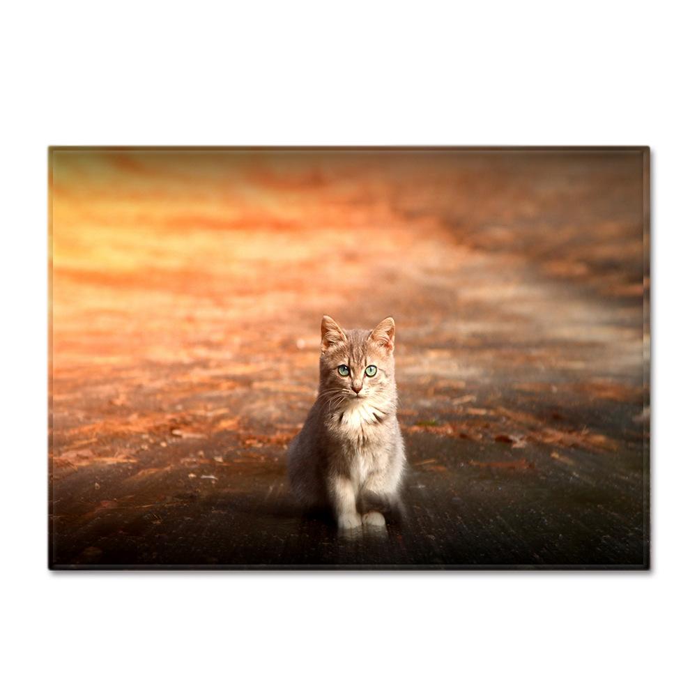 Animal Carpet Feather Wind Bedroom Floor Mat