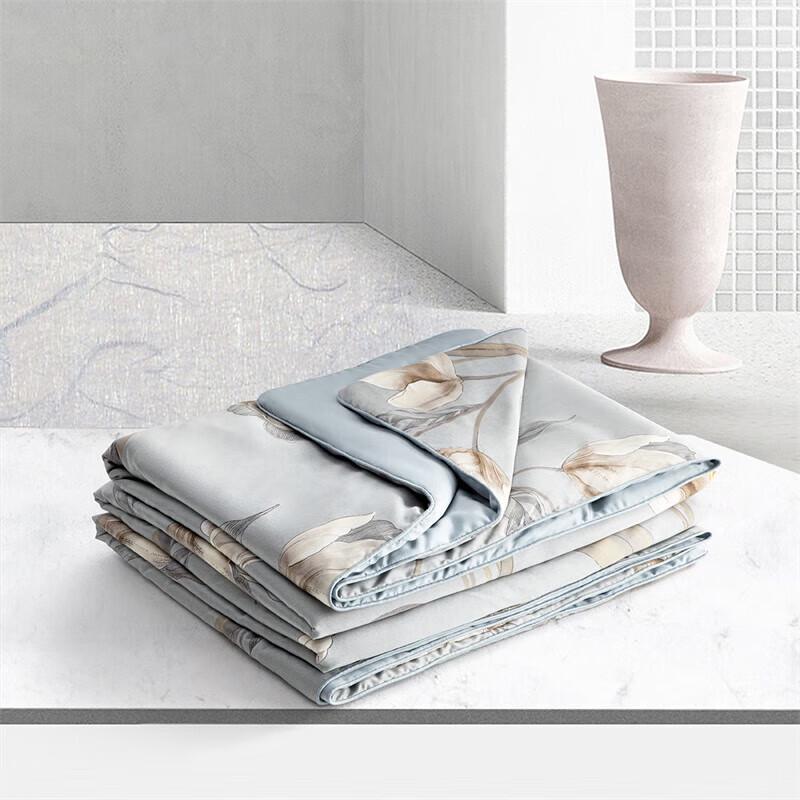 

Mercury Home 60S Lyocell Milk Fiber Lightweight Comforter