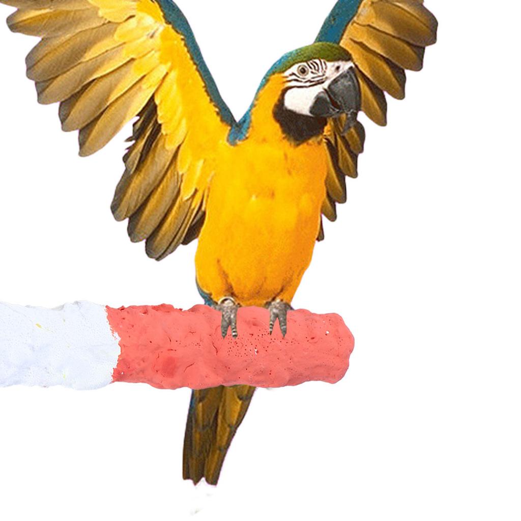 Premium Calcium Infused Bird Perch for Parrots Standing Rest Chewing Grinding Activity Center Boredom Relief Pet Bird