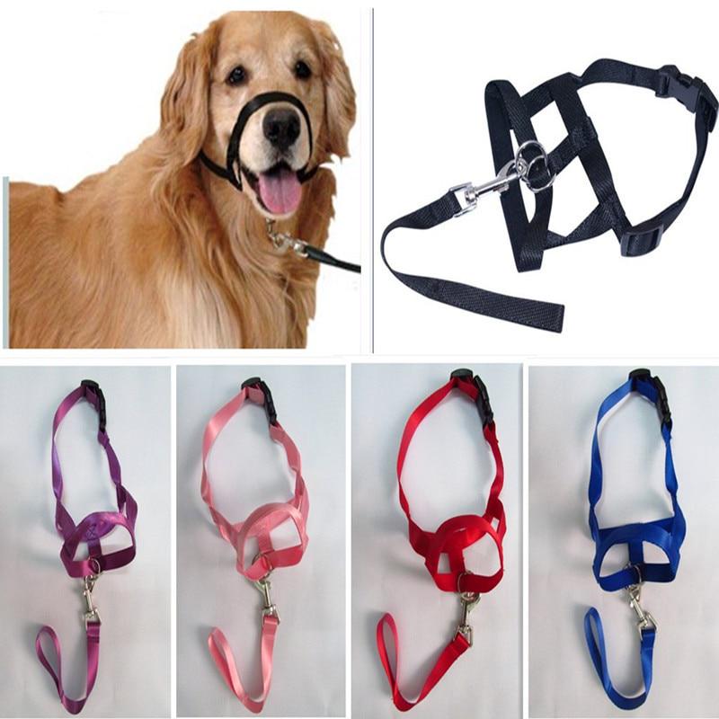 stop bite collar for dogs