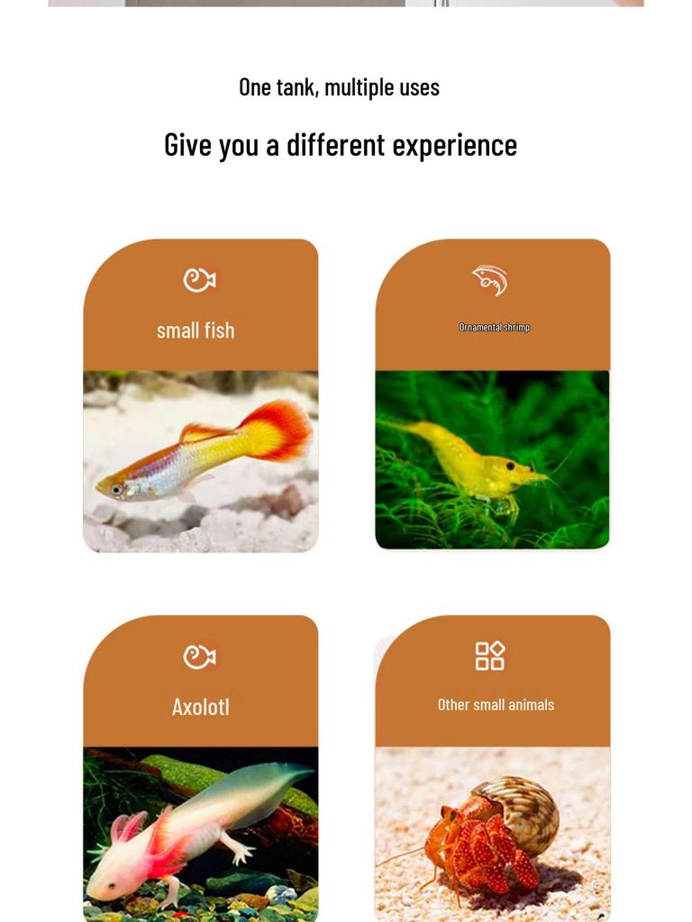 Kompaktes, umweltfreundliches Goldfischglas 2025 mit Filterung, Sauerstoffzufuhr, Abdeckung - Ideal für kleine Wohnzimmer