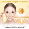 Bee Venom Serum, Advanced Bee Venom Serum, Bee Venom Anti-wrinkle Essence, Collagen Moisturizer Nourishing Skin Serum 1Pcs