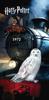 Beach Towel 70X140 Harry Potter Owl Hedwig Train 8797 Children's