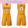 Authentic Los Angeles Lakers Lebron James Basketball Jersey 23 White Blue Yellow