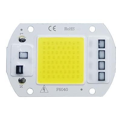 COB LED Lampenchip AC 220V LED Birne 10W 20W 30W 50W IP65 Hohe Leistung Smart IC DIY Flutlicht Birne Scheinwerfer Außen Chip Lampe