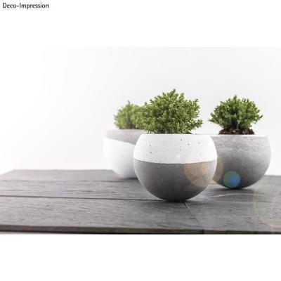 Floristic Ball - RAYHER - 12 Cm - Transparent - 2 Parts - Mixed