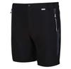Regatta Mountain II Shorts