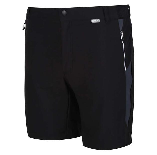Regatta Mountain II Shorts