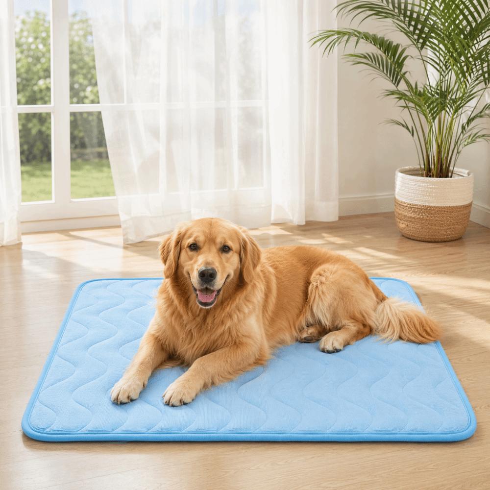 Tapis de Refroidissement pour Chat Chien en Soie Glacée Respirant Coussin de Couchage Durable Tapis de Glace Couvertures Fourniture pour Animaux