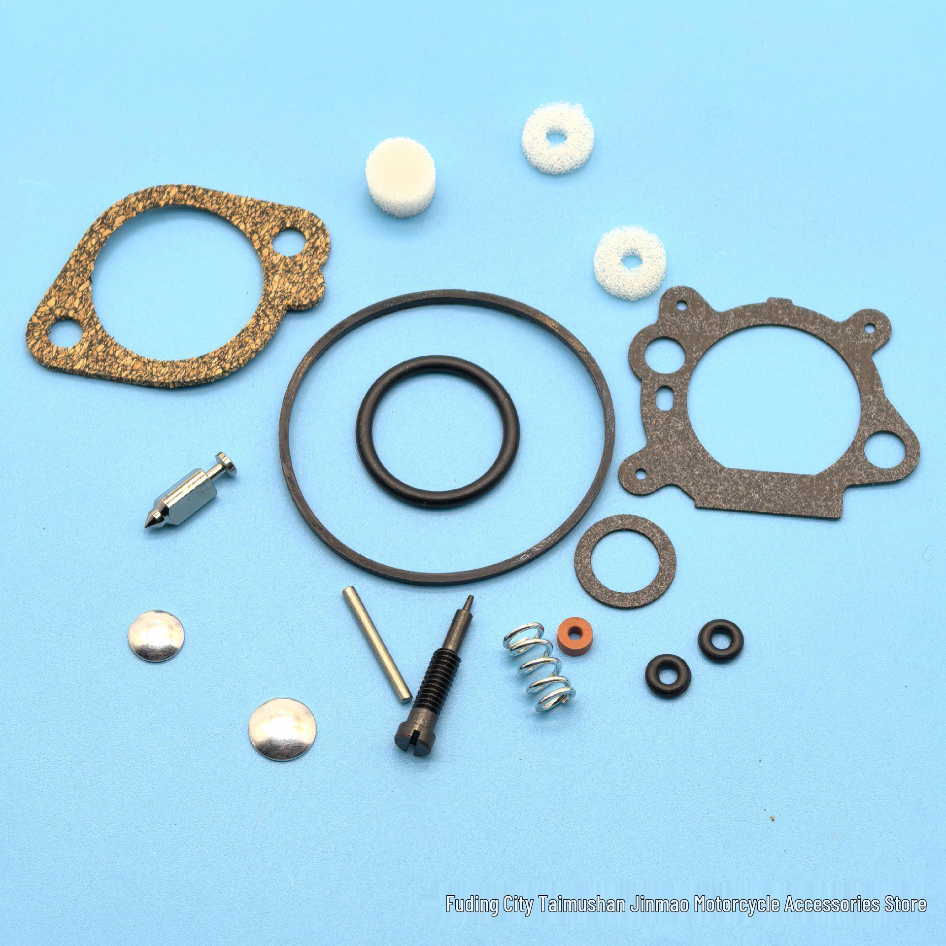 Briggs & Stratton Carburetor Repair Kit for 493762, 498260, and 12A800 Models 2