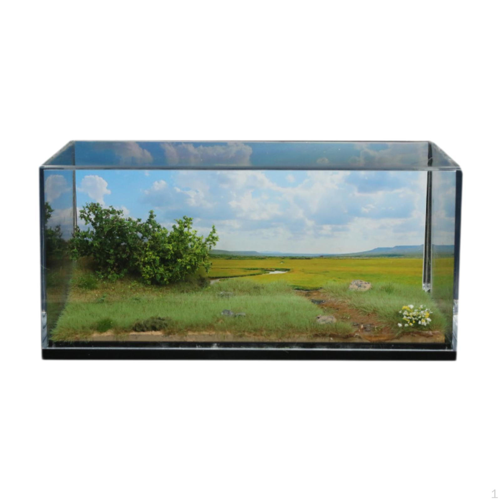 1/64 Car Scene Model,Wetland Grassland Backdrop,Simulation,Display Model Toy,Display Case,Car