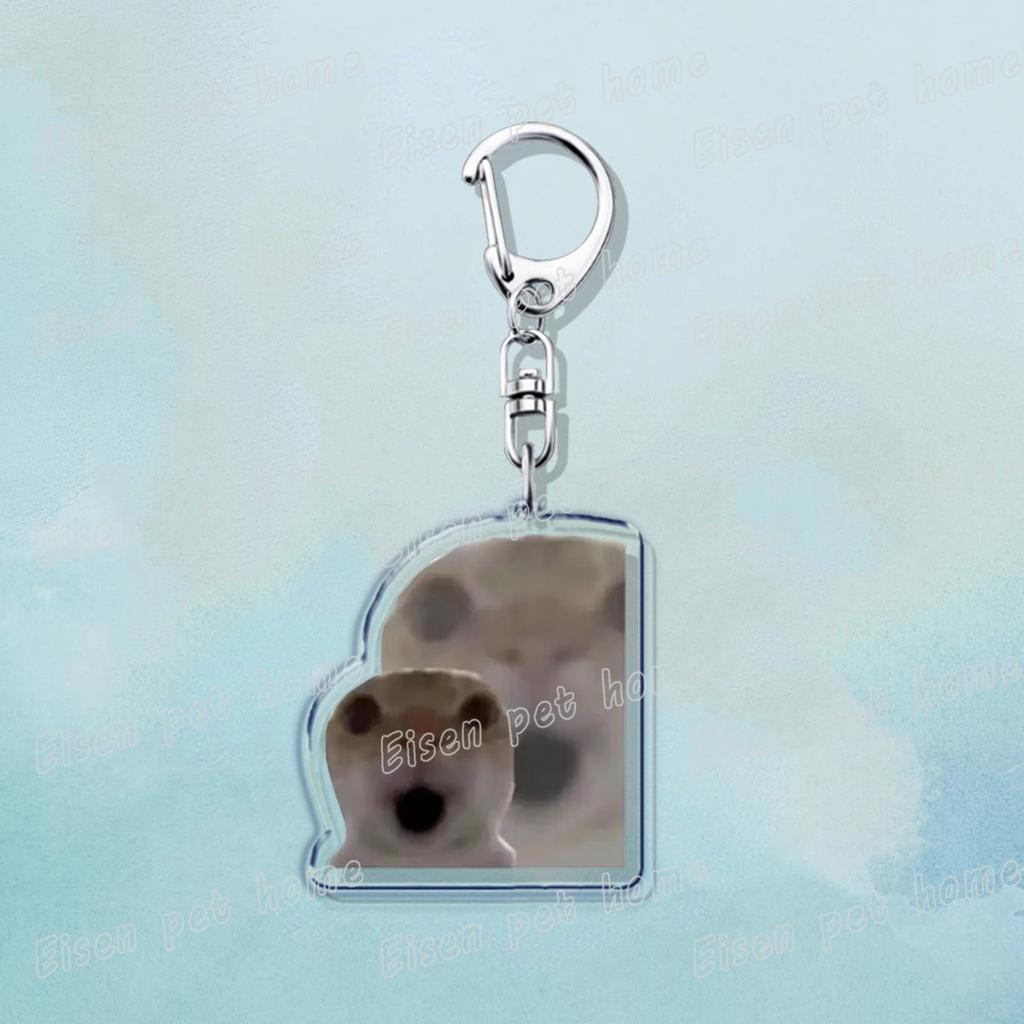 Beliebte Niedliche Katze Lustige Schlüsselanhänger für Zubehör Tasche Haustier Katzenliebhaber Meme Miau Schlüsselanhänger Ring Schmuck Fans Geschenke Schlüsselanhänger