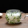 Glass Coffee Mugs Aesthetic Double Wall Drinkware Glass Drinking Cups Coffee Mug for Home Living Room Kitchen Apartment Office