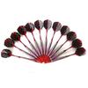 CUESOUL practice soft tip darts 12 pieces (17g/piece)