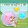 Transparent Plastic Hamster Ball With Ventilation For Running And Exercise Large Toy